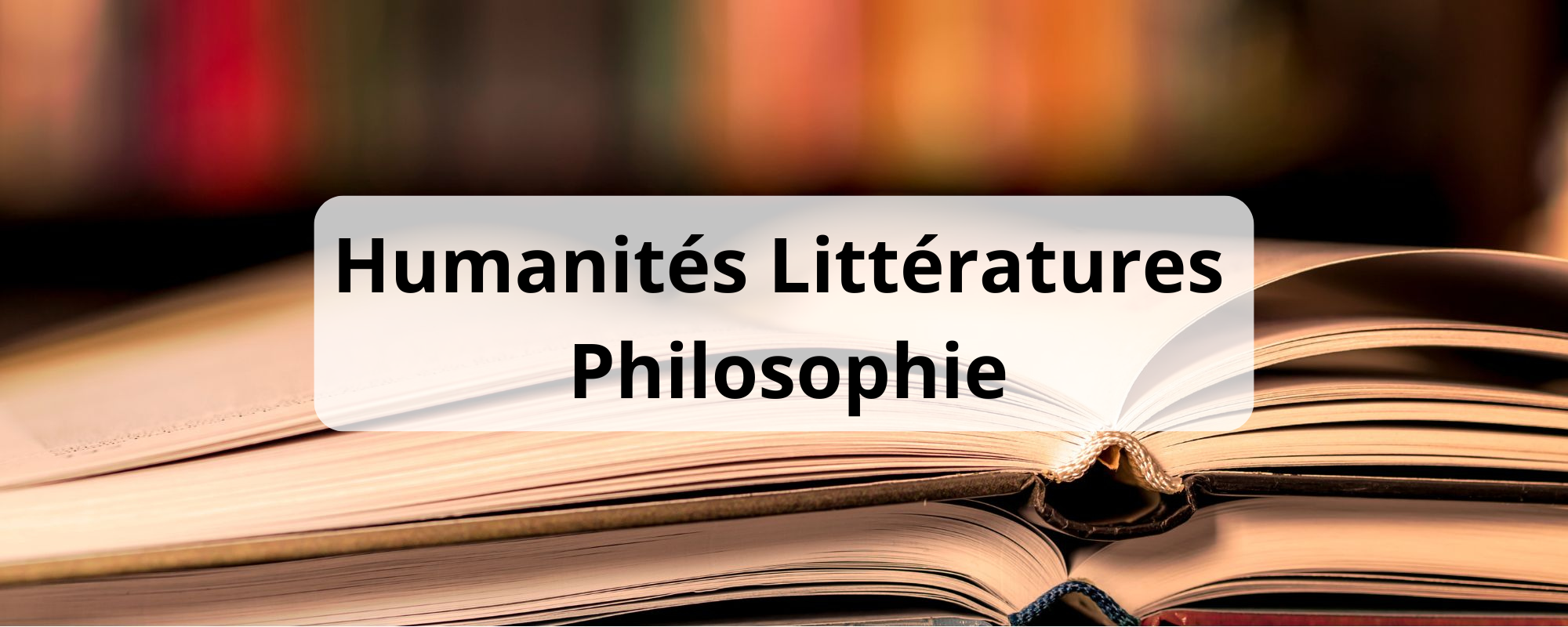 photo card spécialité