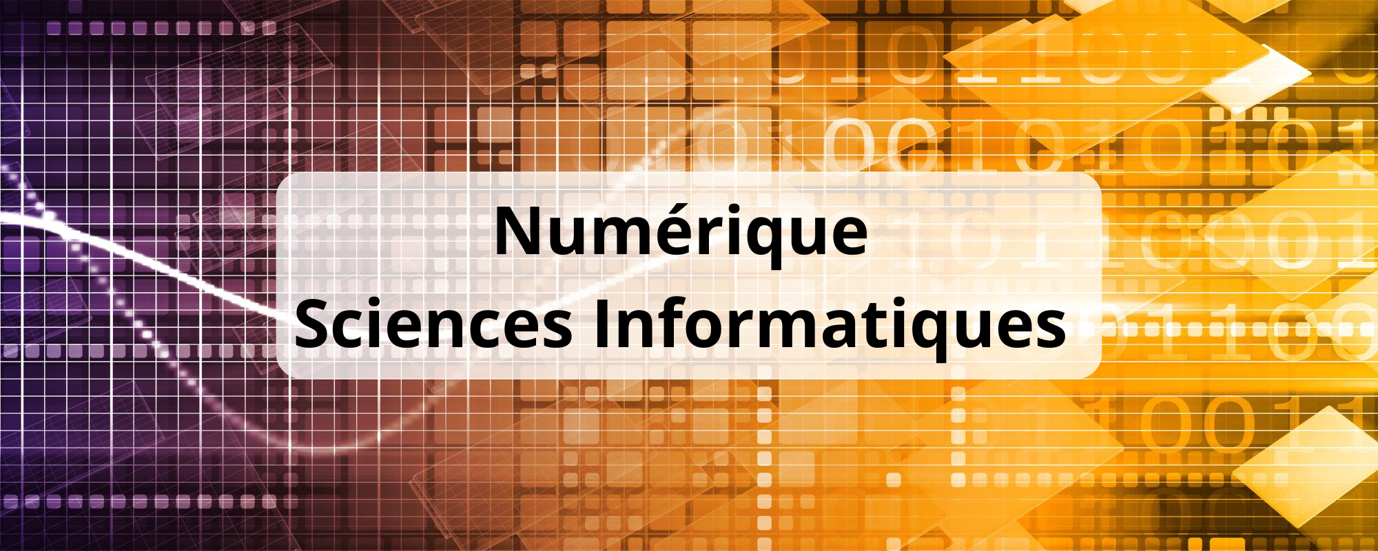 photo card spécialité